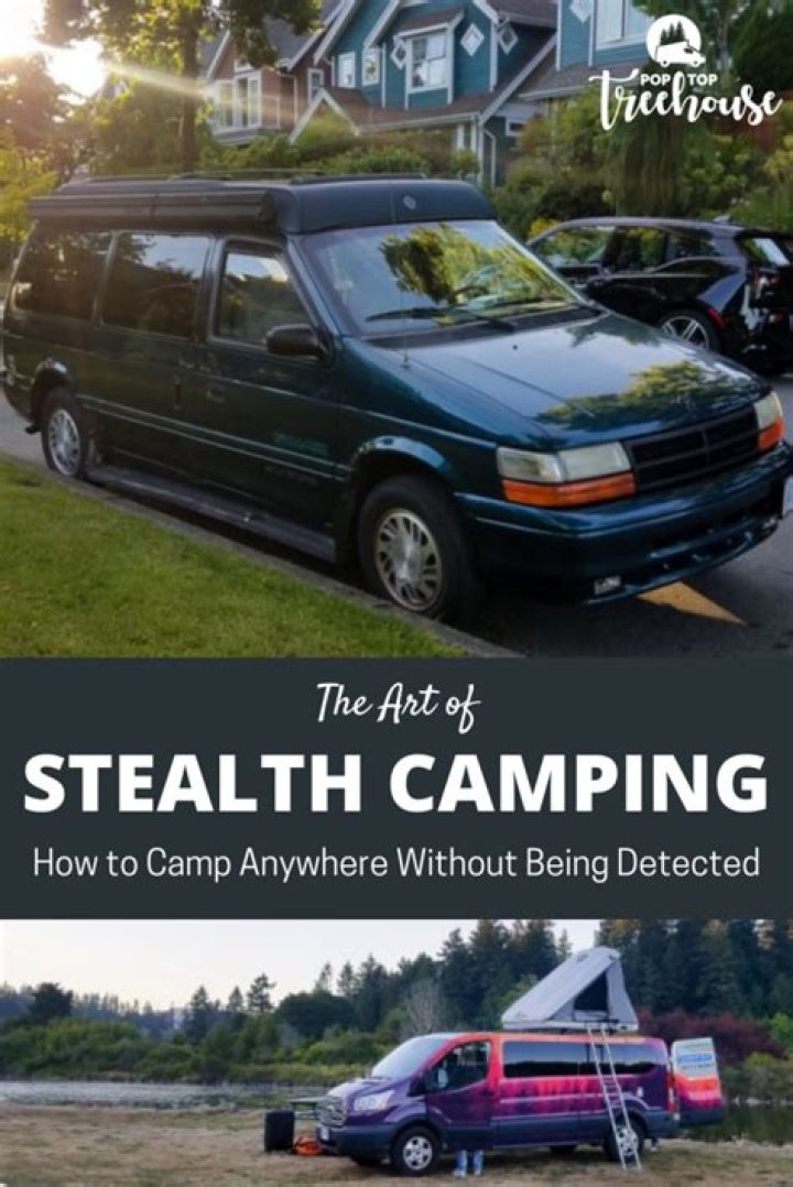 How can I steal without being detected?