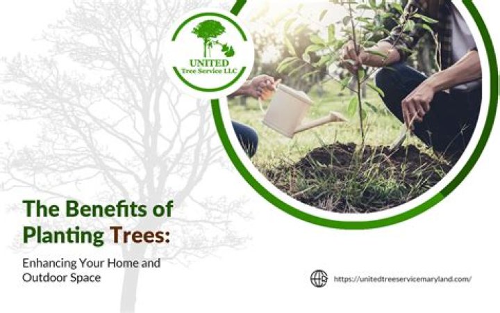 What are the benefits of planting trees on farmland?