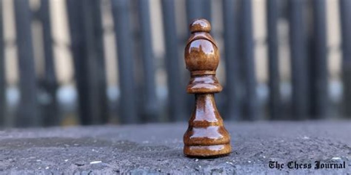 What does the bishop symbolize in chess?