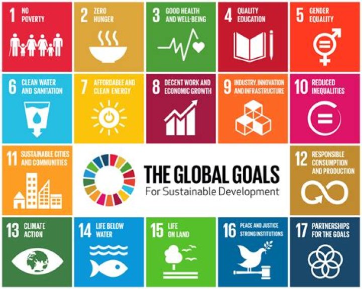 What is the global development agenda?