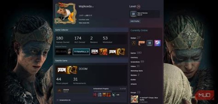 What is the highest level Steam profile?