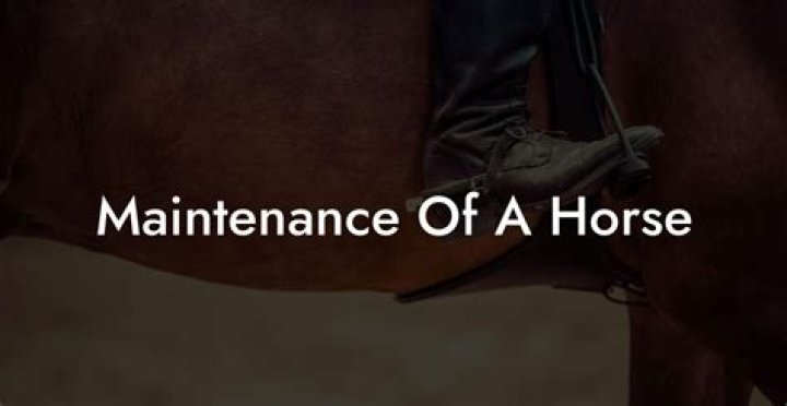 What maintenance does a horse need?