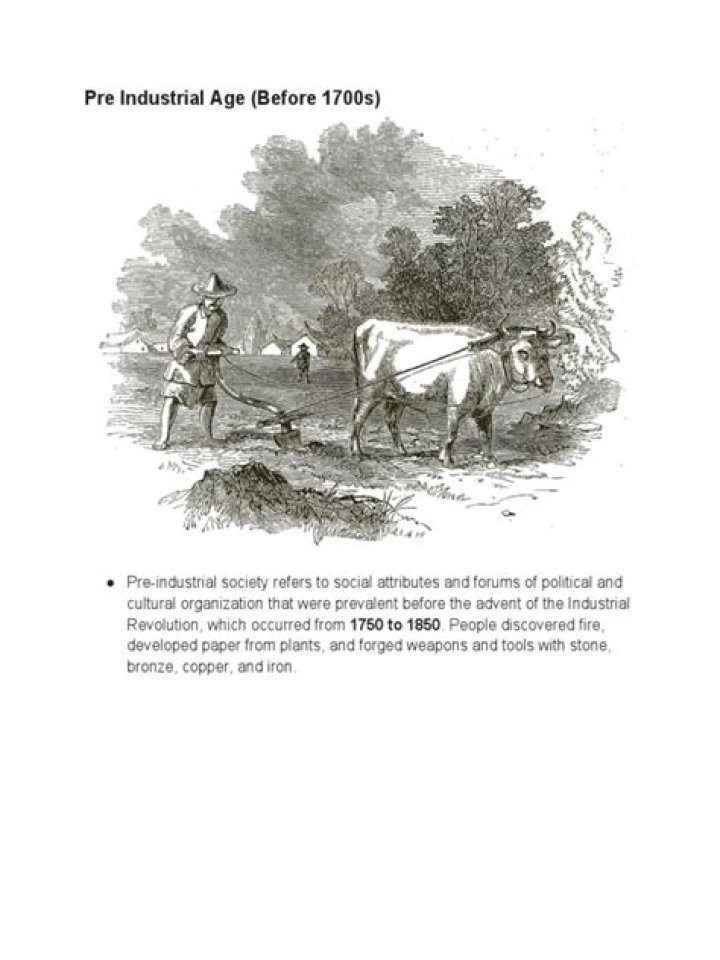 What was the main economic activity during the pre-industrial society?