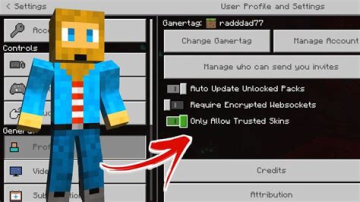 Why can I not see my character in Minecraft?
